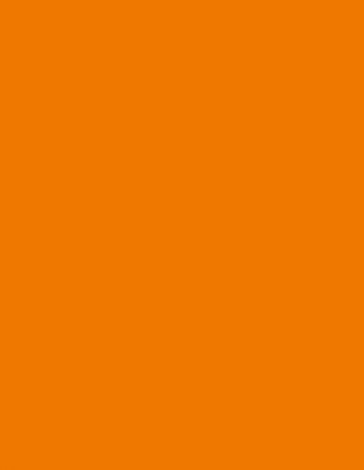 0132 BS - <i>Orange</i>